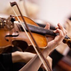バイオリン/演奏 バイオリン/演奏